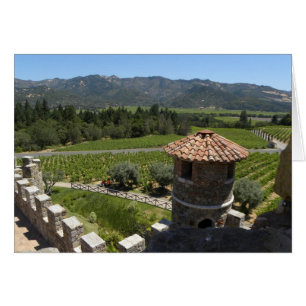 Looking down from the Castle