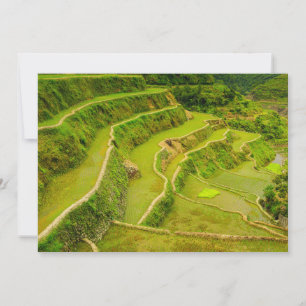 Looking Down On Rice Fields Thank You Card