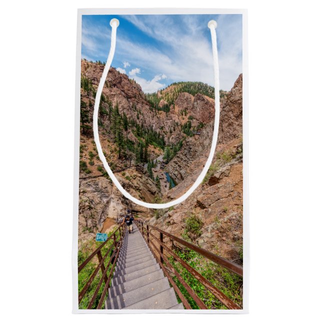 Looking Down Seven Falls Stairs Tall Gift Bag (Front)
