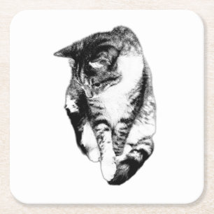 Looking Down Tabby Cat Monochrome Coaster