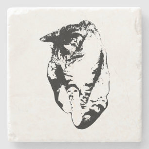 Looking Down Tabby Cat Monochrome Coaster