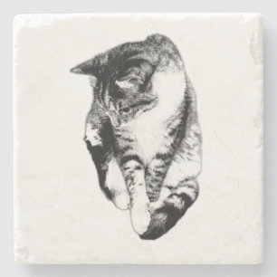 Looking Down Tabby Cat Monochrome Coaster