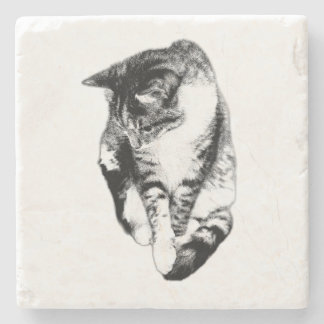 Looking Down Tabby Cat Monochrome Coaster