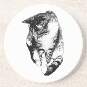 Looking Down Tabby Cat Monochrome Coaster