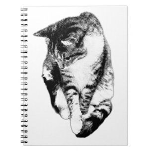 Looking Down Tabby Cat Monochrome Notebook
