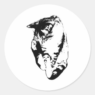 Looking Down Tabby Cat Monochrome Sticker
