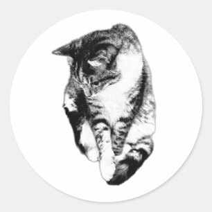Looking Down Tabby Cat Monochrome Sticker