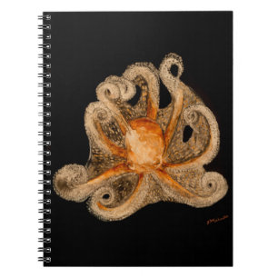 Looking for a Hug Notebook (80 Pages B&W)