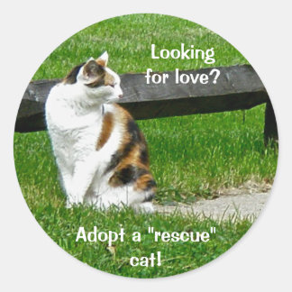 Looking for love? Adopt a "rescue" cat! Stickers