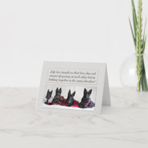 Looking for Love Note Card