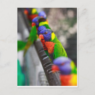 Looking for me? postcard