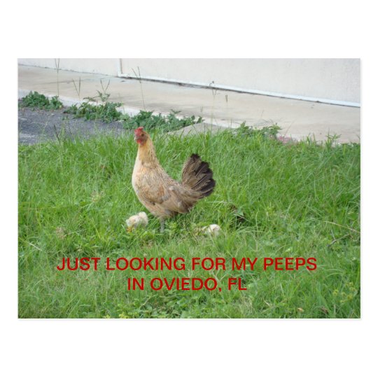 Looking for my peeps postcards