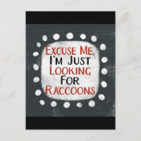 Looking For Raccoons Postcard