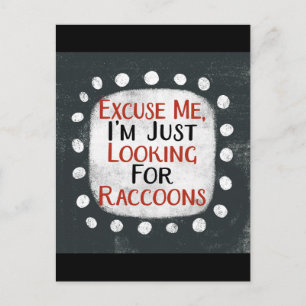 Looking For Raccoons Postcard