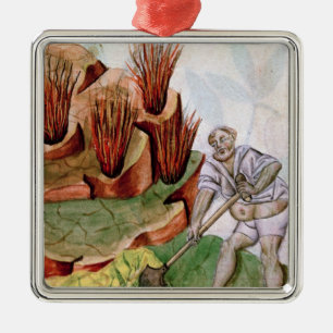 Looking for Sulphur, Dioscorides' 'De Herbis' Metal Tree Decoration