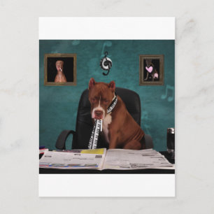 Looking for talent postcard