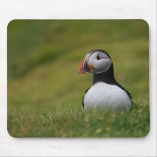 Looking for the Burrow Puffin Mouse Mat