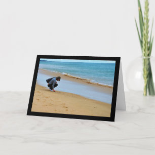 Looking for the Perfect Seashell Card