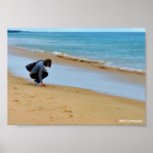 Looking for the Perfect Seashell Poster