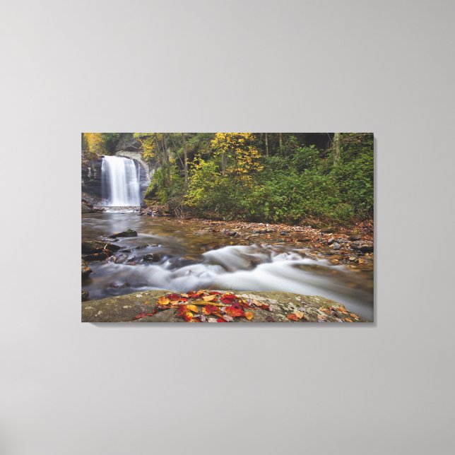 Looking Glass Falls in the Pisgah National Canvas Print (Front)