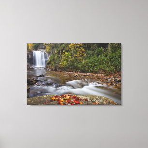 Looking Glass Falls in the Pisgah National Canvas Print