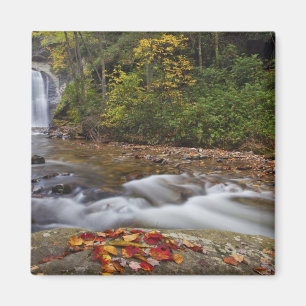 Looking Glass Falls in the Pisgah National Magnet