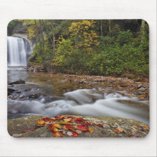 Looking Glass Falls in the Pisgah National Mouse Mat