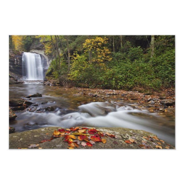 Looking Glass Falls in the Pisgah National Photo Print (Front)