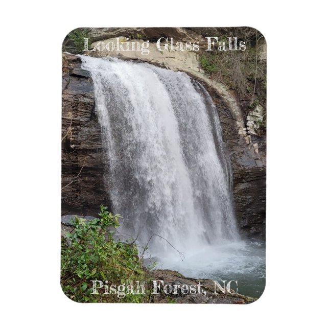 Looking Glass Falls Magnet (Vertical)