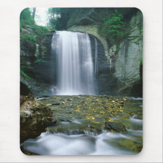Looking Glass Falls Mouse Mat