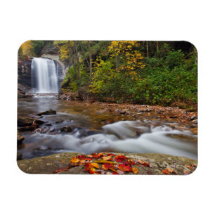 Looking Glass Falls Pisgah National Forest Magnet