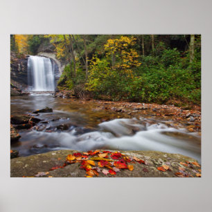 Looking Glass Falls Pisgah National Forest Poster