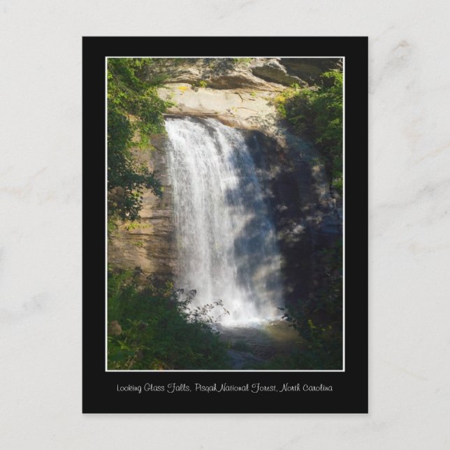 Looking Glass Falls Waterfall North Carolina Postcard (Front)