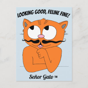"LOOKING GOOD, FELINE FINE!" Cute Moustache Cat Postcard