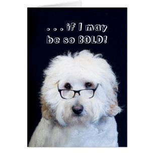 LOOKING GOOD- HUMOR W/DOG/BLACK-RIM GLASSES