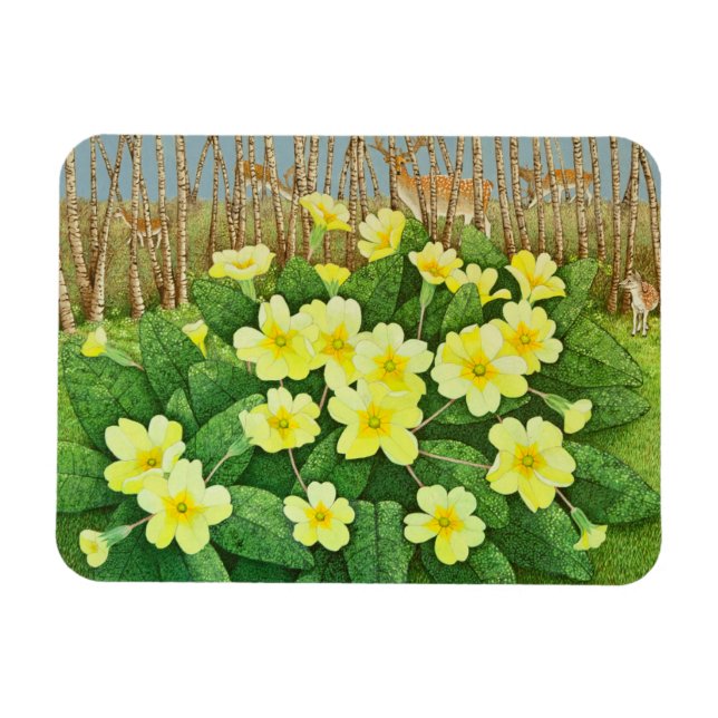 Looking Hopeful 2011 Magnet (Horizontal)