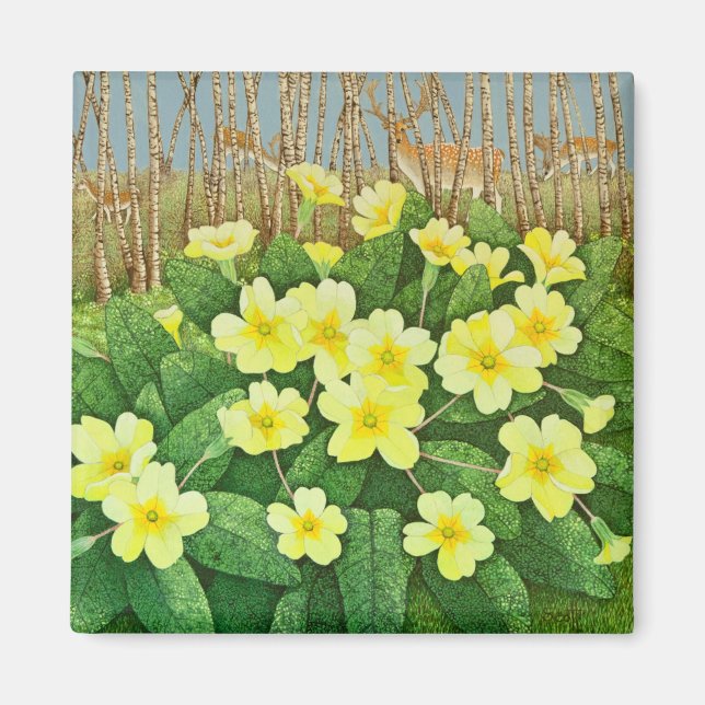 Looking Hopeful 2011 Magnet (Front)