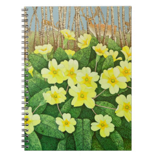 Looking Hopeful 2011 Notebook