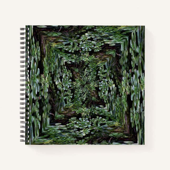 Looking in.... notebook (Front)