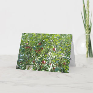 "Looking into the Apple Tree" Congratulatory Card