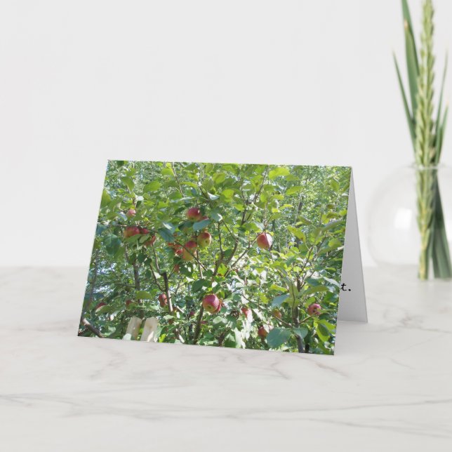 "Looking into the Apple Tree" Congratulatory Card (Front)