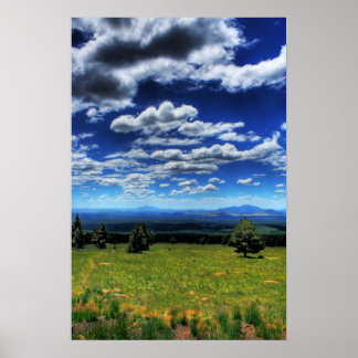 Looking into the Distance Poster