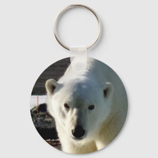 Looking into the eye of a Polar bear Key Ring