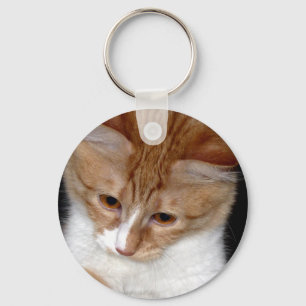 Looking Kitty Keychain