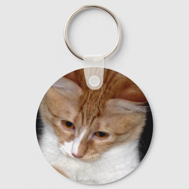 Looking Kitty Keychain (Front)