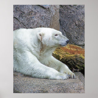 Looking North Poster