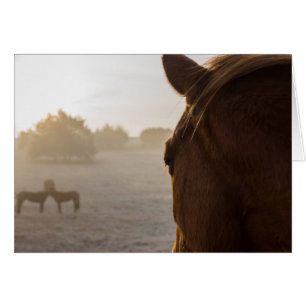 Looking Onward Greeting Card