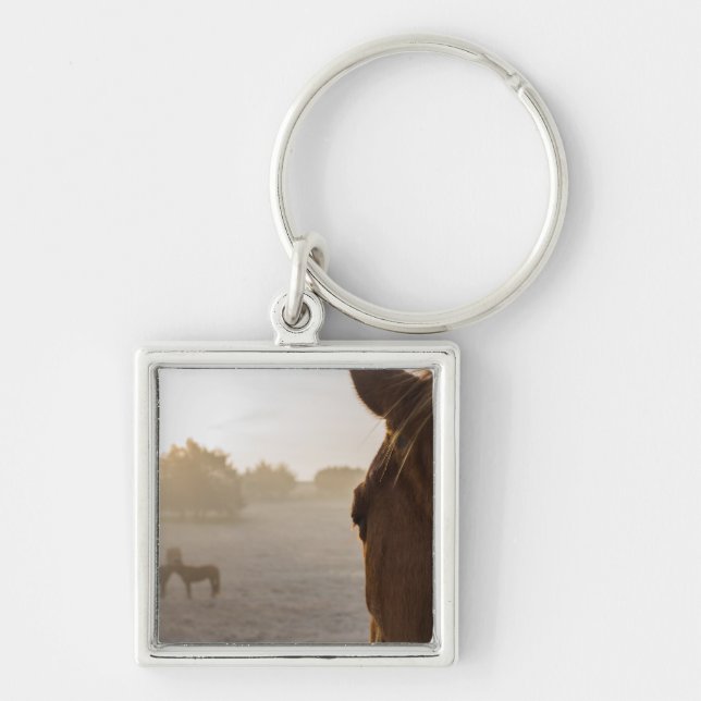 Looking Onward Key Ring (Front)
