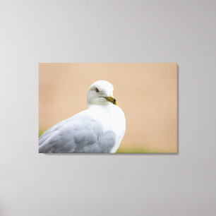 Looking Out Canvas Print