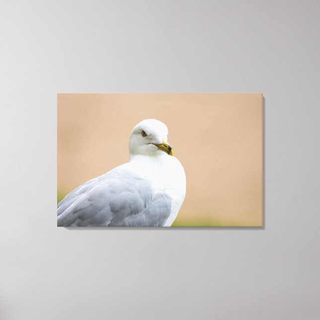 Looking Out Canvas Print (Front)
